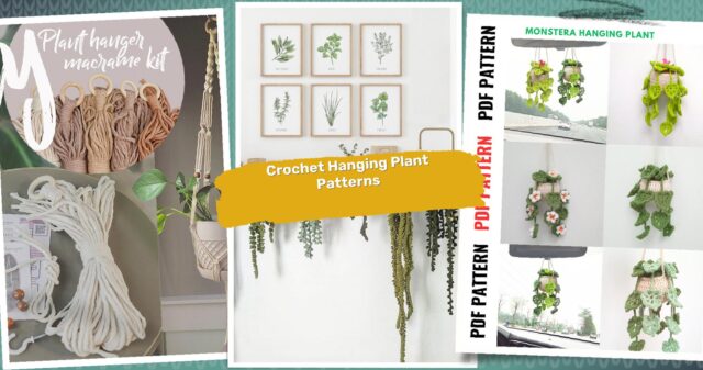 26 Hanging Plant Crochet Patterns: Brighten Your Home with Handmade Decor
