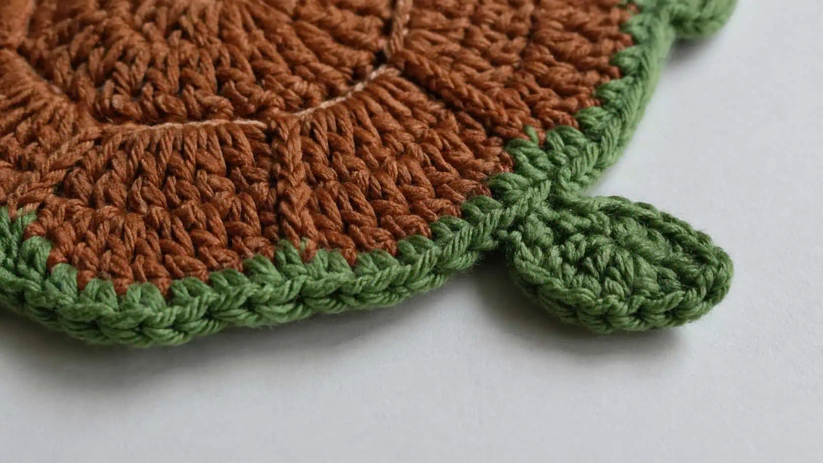 Cute & Easy Crochet Turtle Coaster — Free Pattern 2 Cute & Easy Crochet Turtle Coaster — Free Pattern