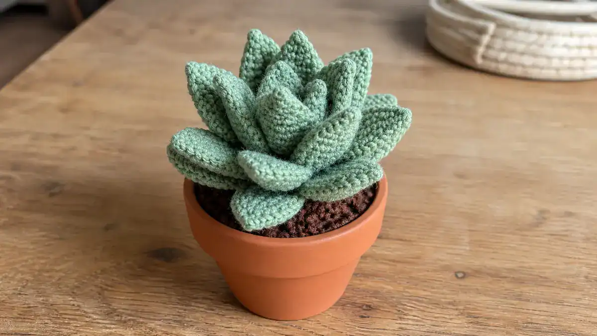 Free Easy Crochet Succulent Pattern — Perfect Home Decor, handmade crochet project