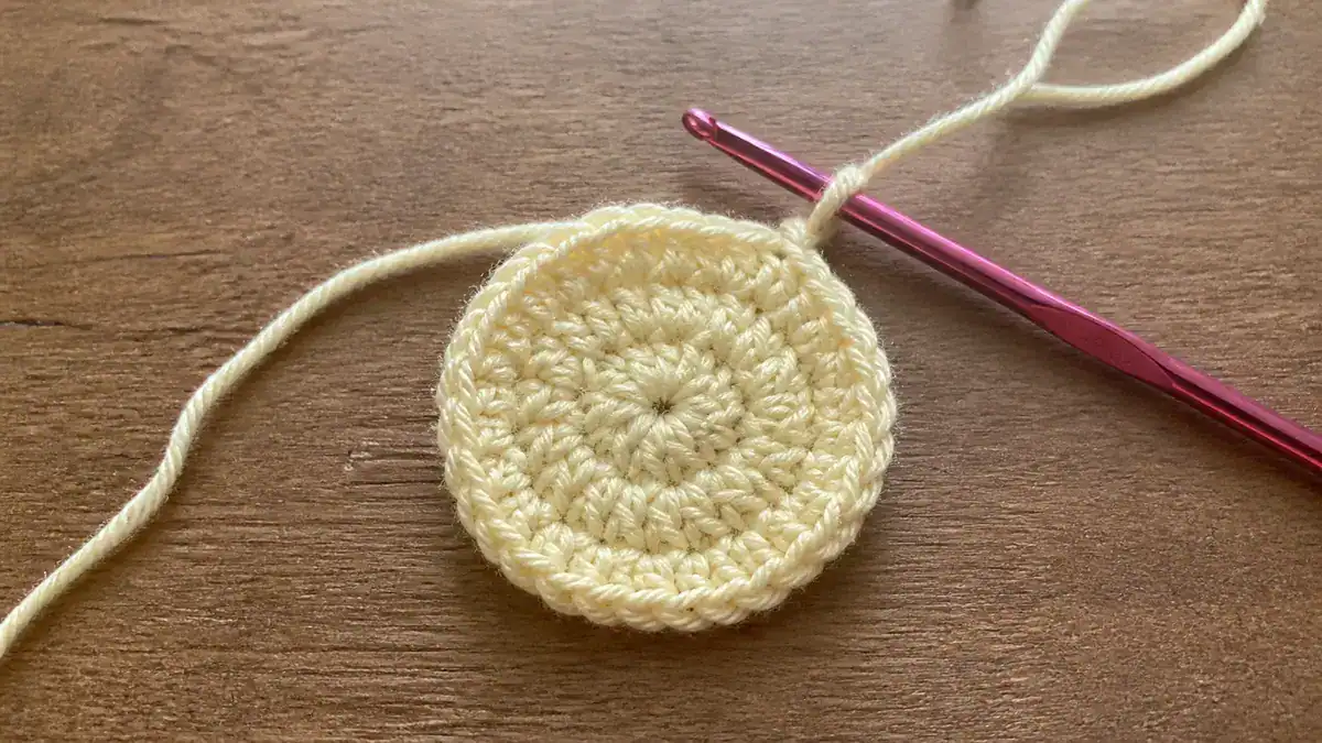 How to Crochet a Circle, handmade crochet project