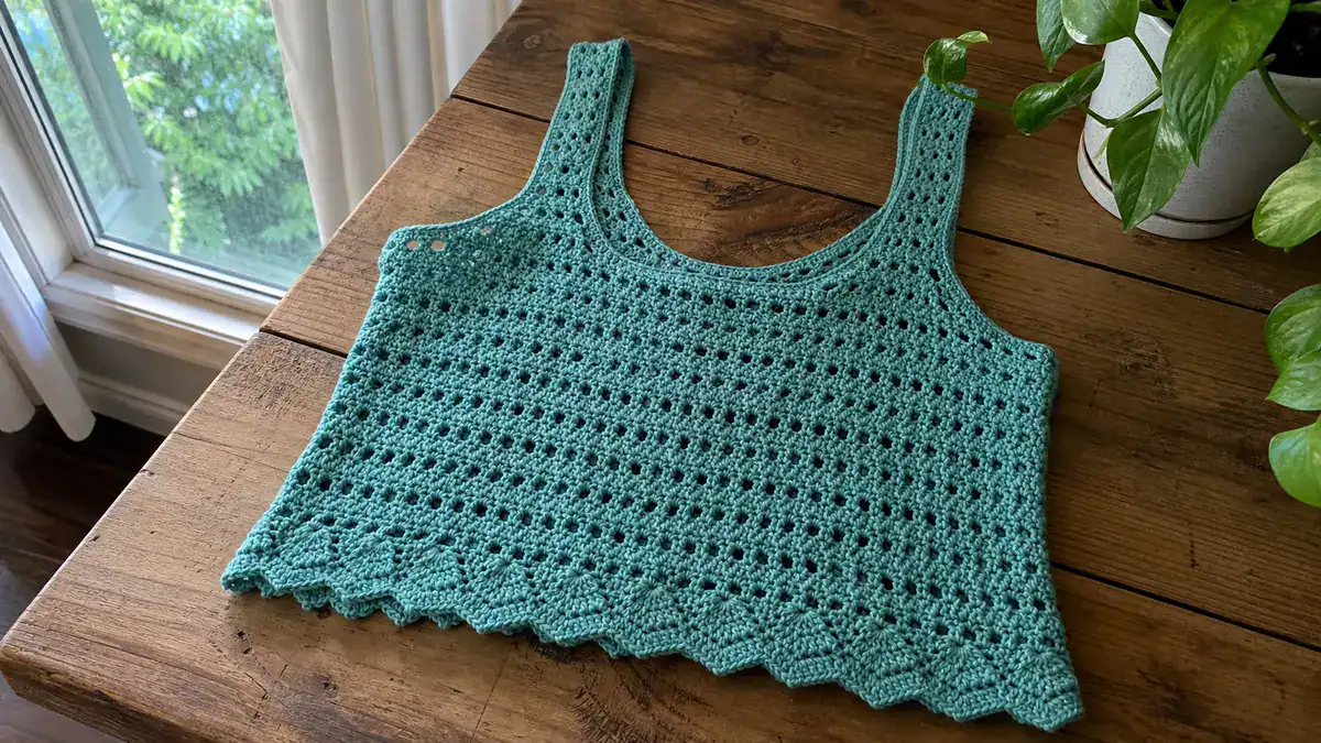 20 More Excellent Crochet Clothing Patterns: Skirts, Dresses, Tops and More, handmade crochet project