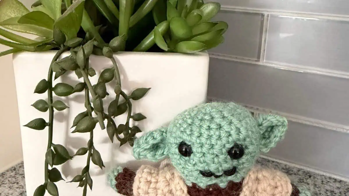 Ten Beanies, One Sloppy Star Wars Guy, and My First Crochet Year