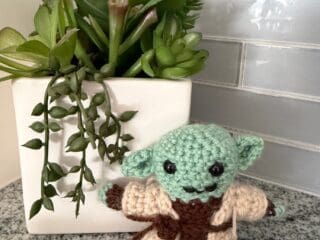 Ten Beanies, One Sloppy Star Wars Guy, and My First Crochet Year