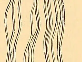 Engraving of a hand-made knotted fringe, looped strands knotted onto a crocheted heading, from The Dictionary of Needlework