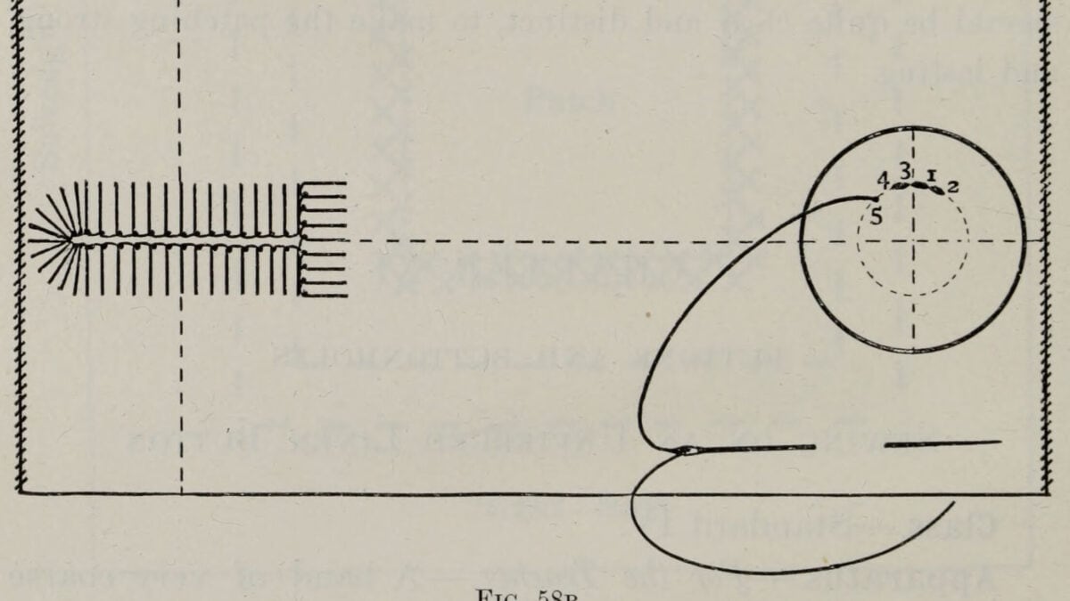 Diagram of a calico band and linen button with the needle in place and the first stitches numbered, from Rosevear's A Text-book of Needlework (1893)